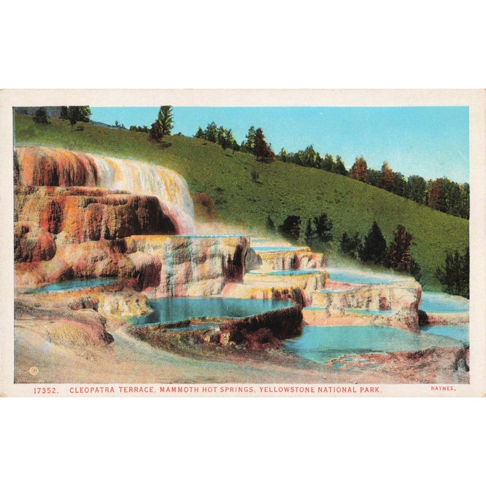 Haynes Yellowstone National Park Cleopatra Terrace Mammoth Hot Springs Postcard - Picture 1 of 2